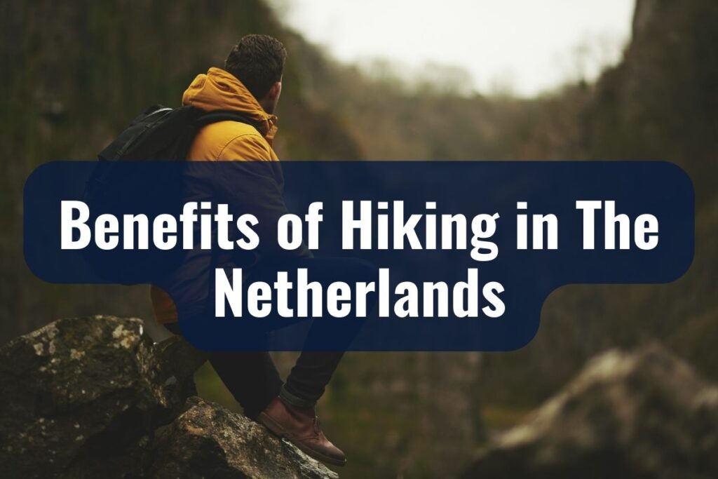 Benefits of Hiking in The Netherlands