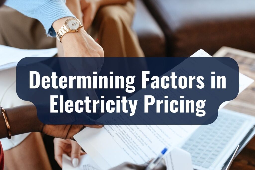 Determining Factors in Electricity Pricing