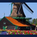 Expat's Guide to Changing Address in The Netherlands