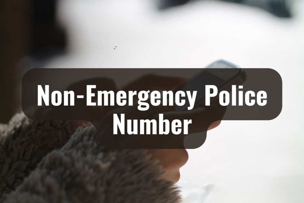 Non-Emergency Police Number