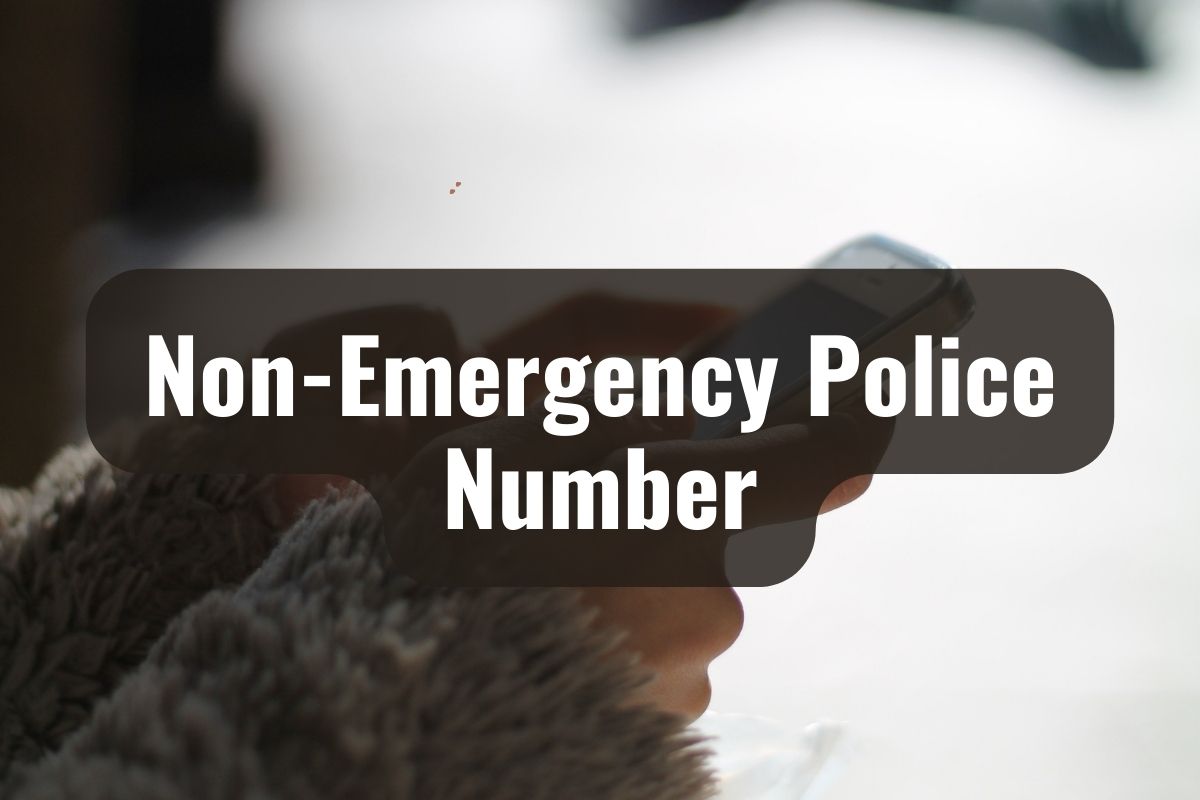 Emergency Numbers in the Netherlands (2024)