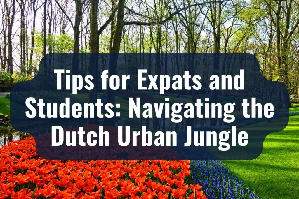 Tips for Expats and Students: Navigating the Dutch Urban Jungle