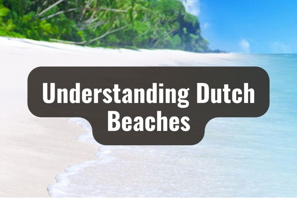 Understanding Dutch Beaches
