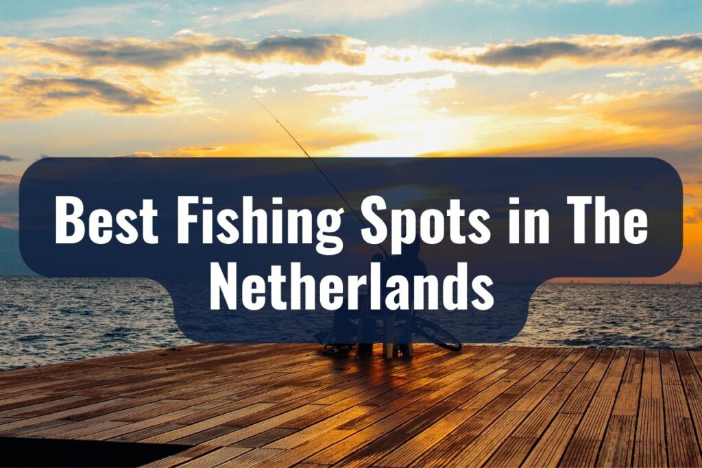 Best Fishing Spots in The Netherlands