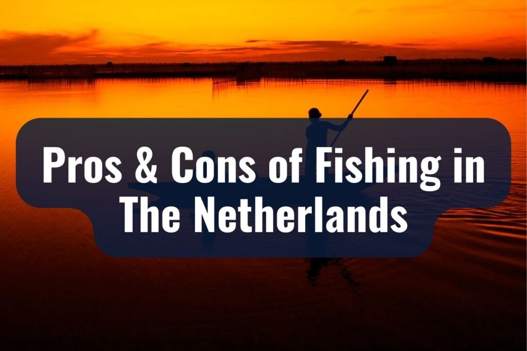 Pros & Cons of Fishing in The Netherlands