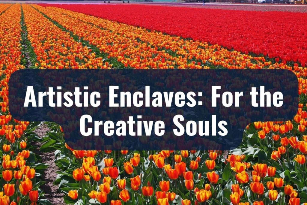 Artistic Enclaves For the Creative Souls