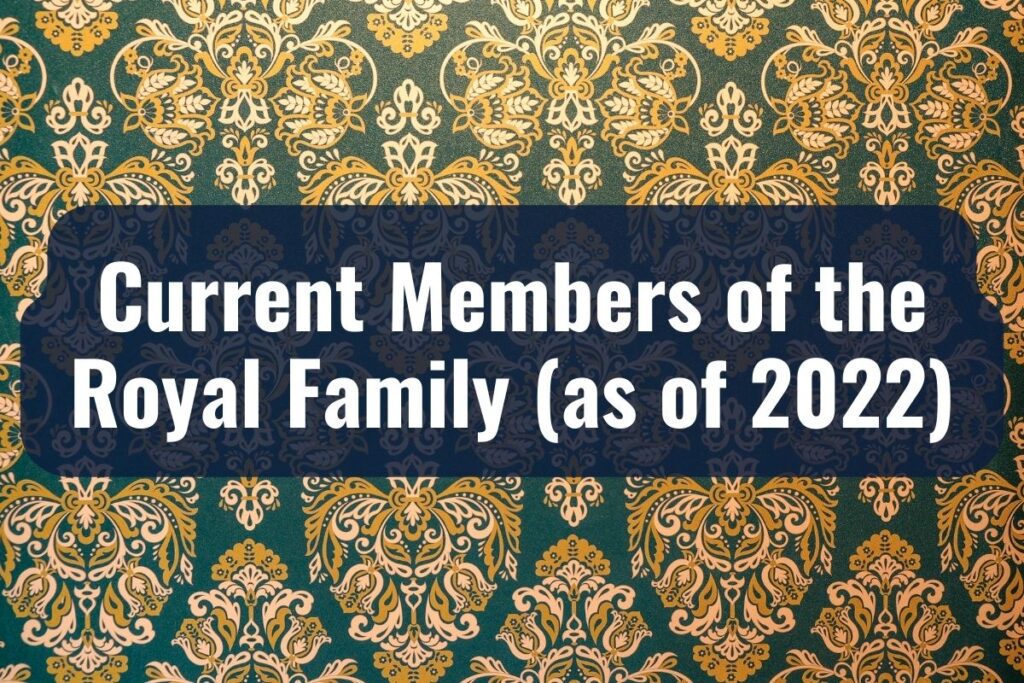 the dutch royal family