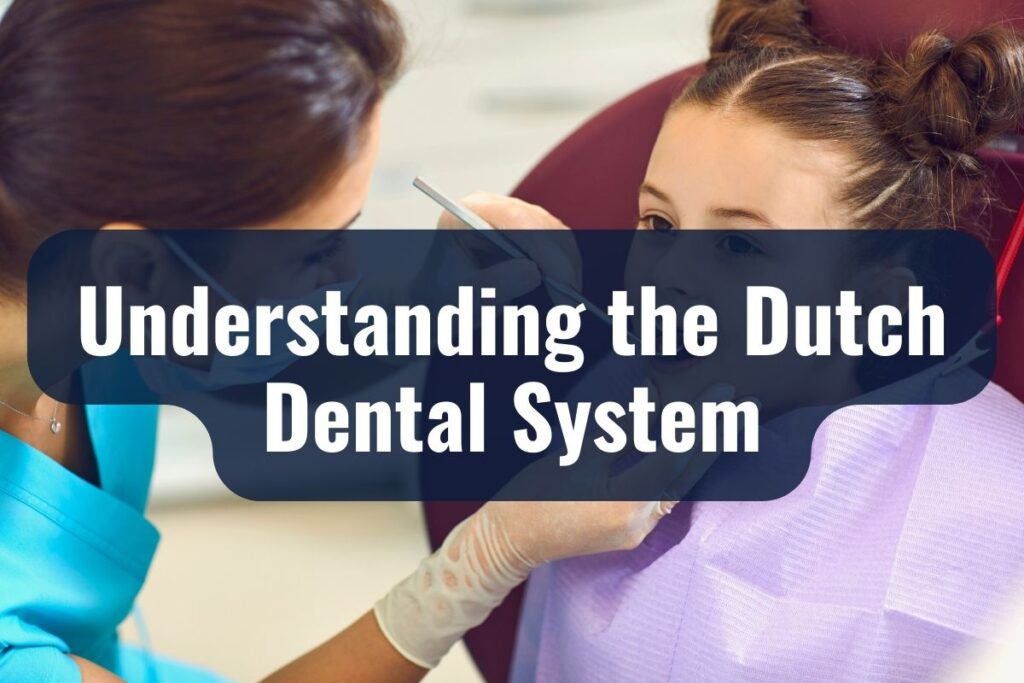 Understanding the Dutch Dental System