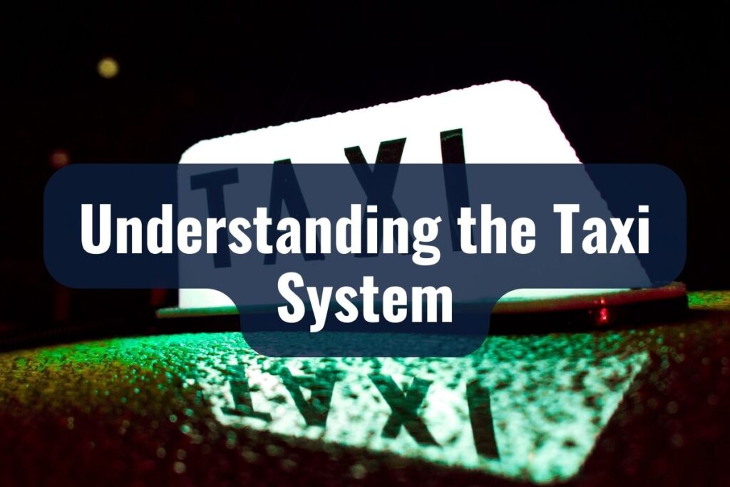 Understanding the Taxi System