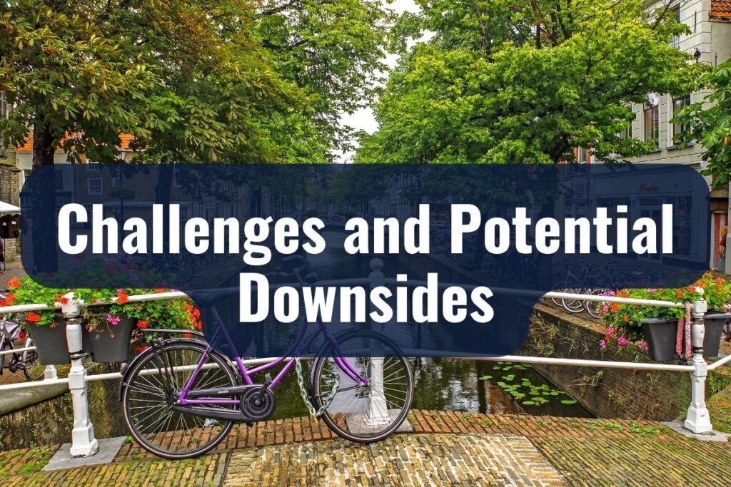 Challenges and Potential Downsides