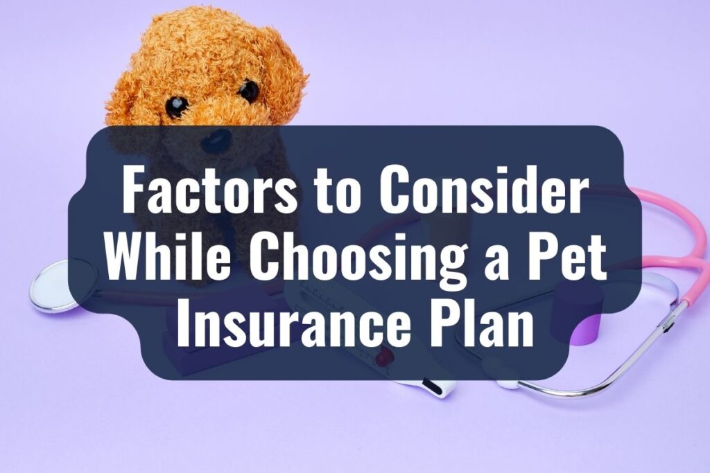 Factors to Consider While Choosing a Pet Insurance Plan