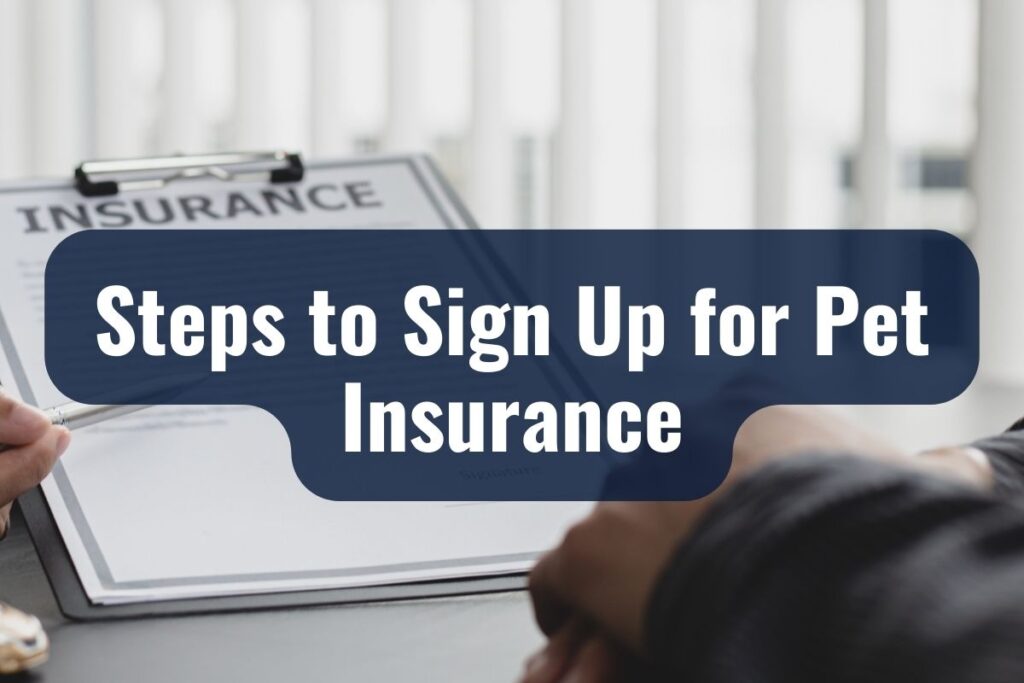 Steps to Sign Up for Pet Insurance